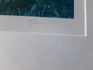 Gerrie Wachtmeester - Litho, titel, Huis de Wolf kopen? Bied vanaf 80!