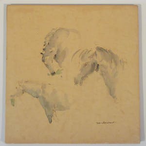 Jan Rombout - 3 paarden kopen? Bied vanaf 20!