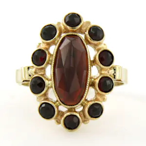 14k geel gouden ring bezet met granaat – 5.1 gram - ringmaat 17.75(56) kaufen? Bieten Sie von 310!