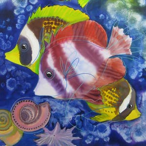 Hettie Saaiman - Tropische Vissen kopen? Bied vanaf 120!