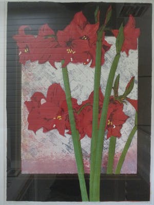 Joost Minnigh - Grote ingelijste litho "Amaryllis met spiegelbeeld" perfect ingelijst kopen? Bied vanaf 80!