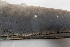 Willy van Blokland - geen titel kopen? Bied vanaf 25!