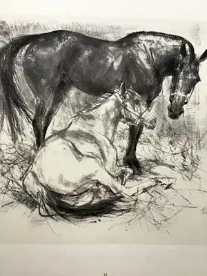 Piet Klaasse - Paarden, proefdrukken offsetlitho, 2-zijdig bedrukt, gesigneerd in druk verkocht voor € 20!