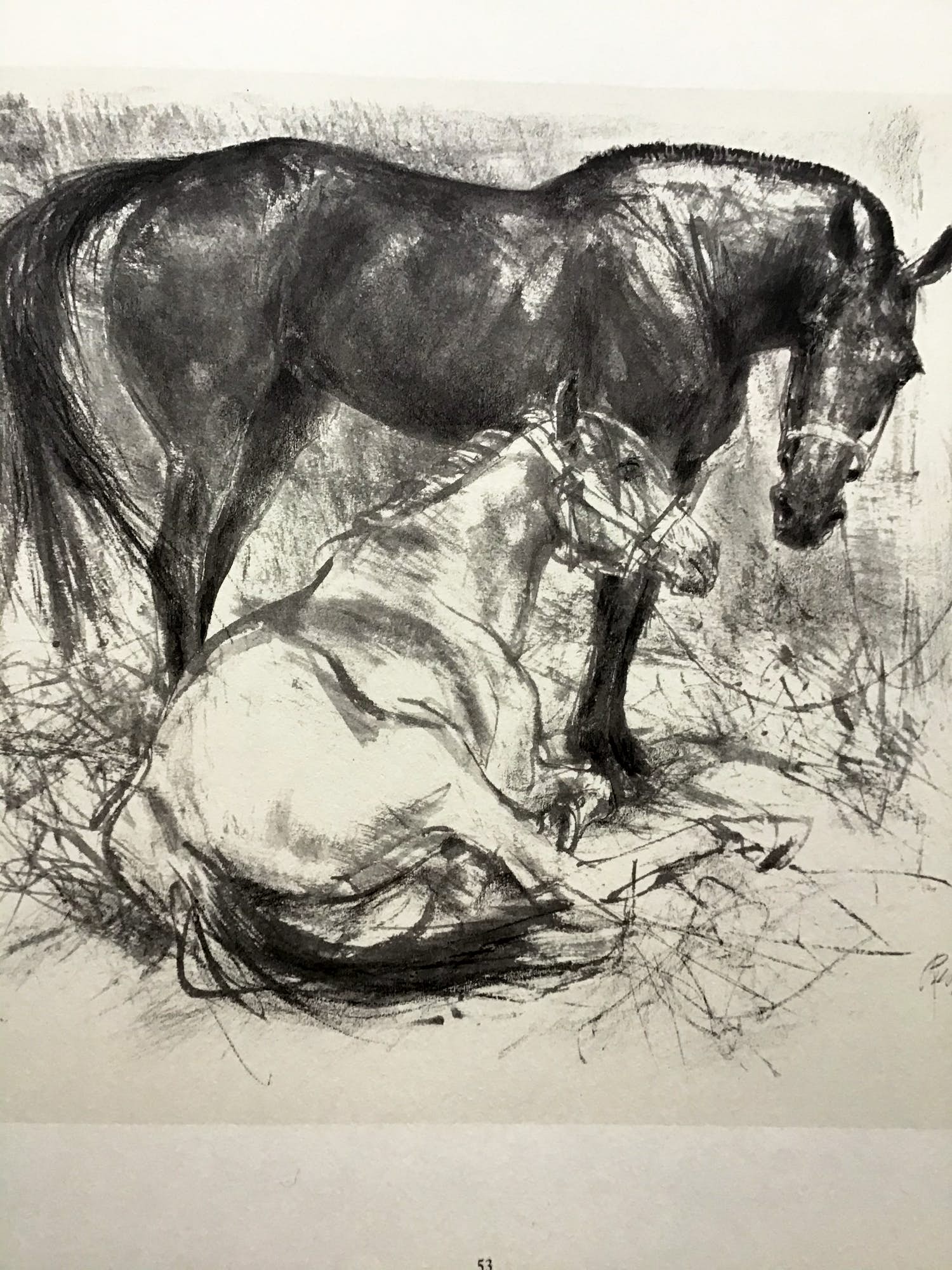 Piet Klaasse - Paarden, proefdrukken offsetlitho, 2-zijdig bedrukt, gesigneerd in druk kopen? Bied vanaf 20!