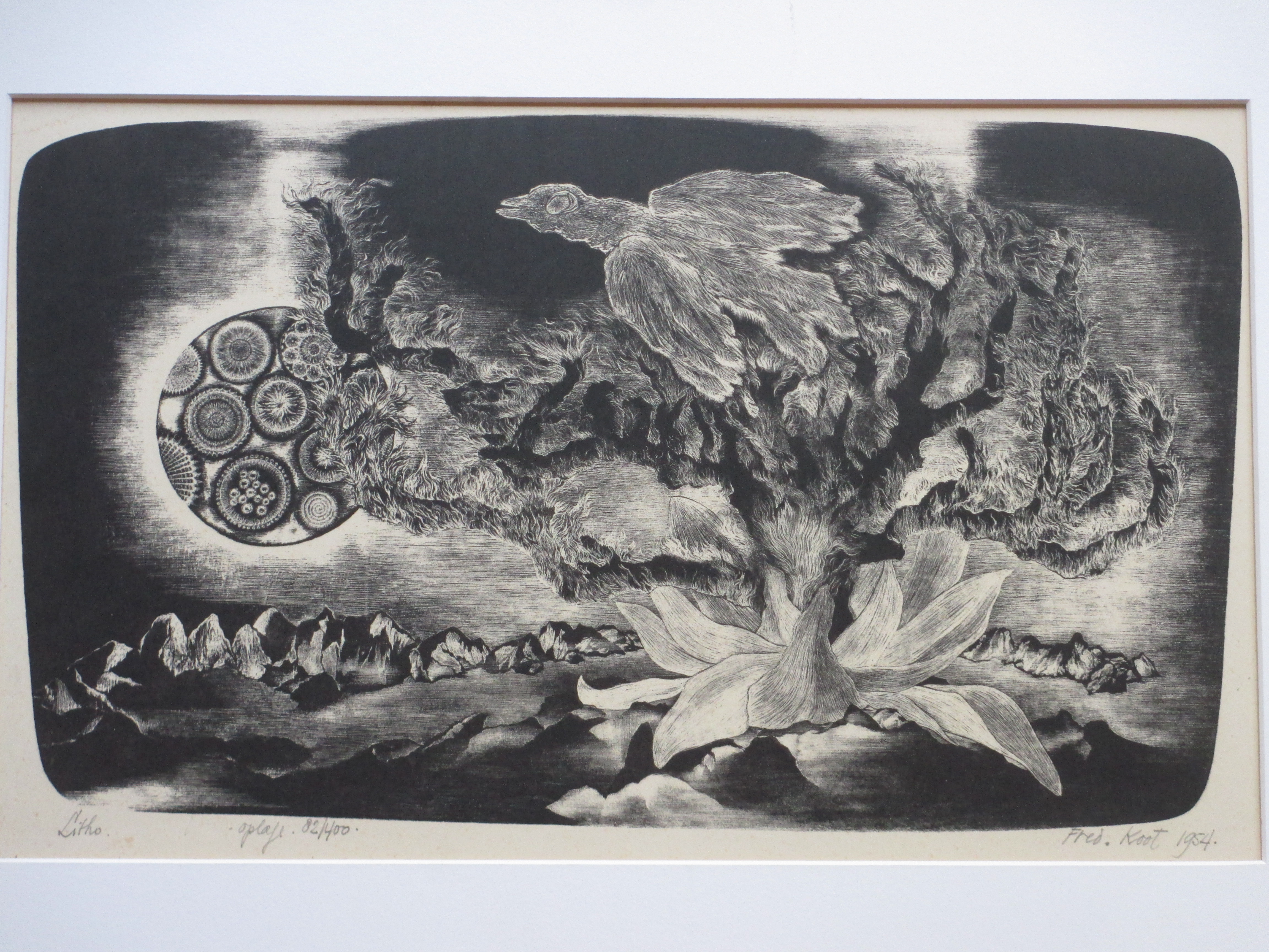 Fred Koot - Vogel in cosmisch landschap - Litho kopen? Bied vanaf 1!