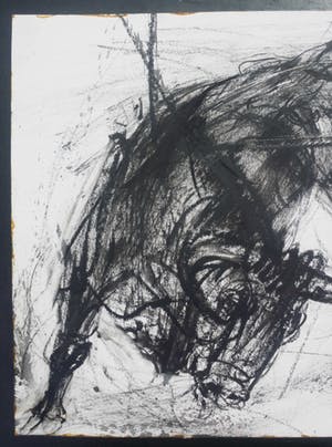 Piet Klaasse - Stier. Houtskool en waterverf. kopen? Bied vanaf 59!