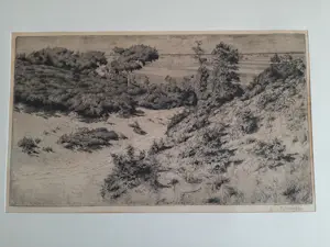 Hendrik Henrichs - Ets, landschap. kopen? Bied vanaf 20!