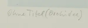 Thomas Florschuetz - Ohne Titel, Orchidee, HC 1/5 UNIEK, handgesigneerd Museaal kopen? Bied vanaf 2500!