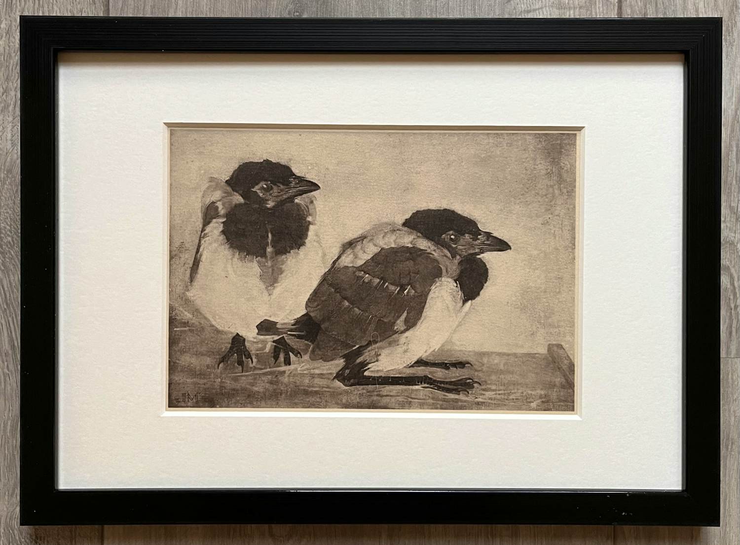 Jan Mankes - Originele Heliogravure 2 Jonge Eksters 1923 kopen? Bied vanaf 185!