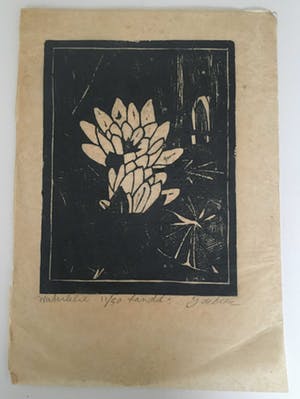 Jac. de Beer - Waterlelie 11/50 kopen? Bied vanaf 10!