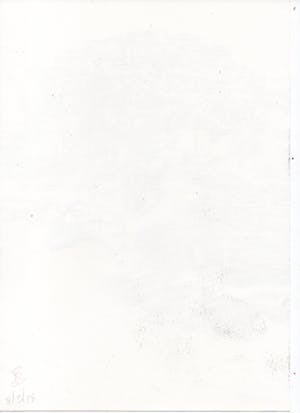 Paul Louis Van Den Bergh - Gemengde Techniek - Gesigneerd - 2018 kopen? Bied vanaf 30!