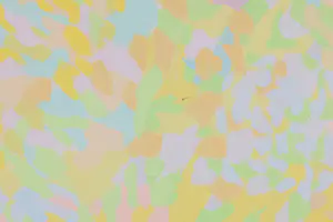 Bernard Koelman - Olieverf op doek, 02 - Ingelijst kopen? Bied vanaf 35!