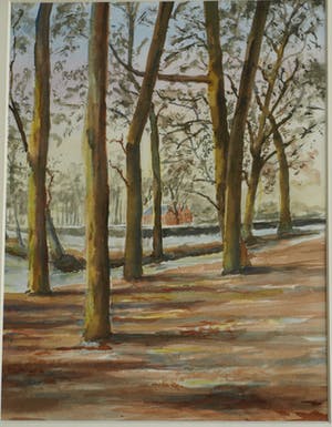 Niet of onleesbaar gesigneerd - Ingelijste aquarel , “Bosgezicht“ kopen? Bied vanaf 1!