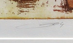 Olivier Beijn - Kleurenets, Zonder Titel - Ingelijst (Groot) kopen? Bied vanaf 50!