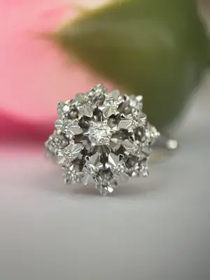 Vintage 18 kt White Gold Rosette Cluster Diamonds ring kopen? Bied vanaf 550!