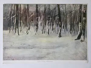 Wilhelmina van Oranje-Nassau - 12 prenten van schilderijen. 1935. kopen? Bied vanaf 69!