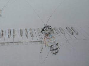 Corstiaan de Vries - (Kleur)potlood-tekening , Sprinkhaan en Bij op piano – ingelijst – 94 x 80 cm kopen? Bied vanaf 1!