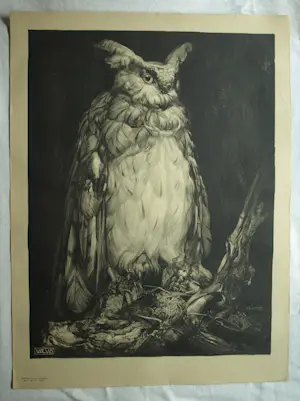 Adriaan van 't Hoff - Lithografische prent , Oehoe – Uitgegeven door De V.AE.V.O. –100x75 cm kopen? Bied vanaf 60!