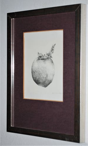 Lisa Couwenbergh - Vlinder zit op een appel - pentekening 1972 kopen? Bied vanaf 35!