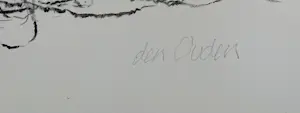 Willem den Ouden - De Waal - twee litho's kopen? Bied vanaf 40!