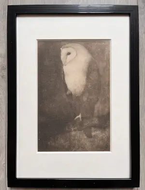 Jan Mankes - Originele Heliogravure Uil op Boomtak 1923 kopen? Bied vanaf 165!
