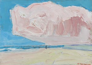 Paul Overhaus - Acryl op canvas, Rose Wolk kopen? Bied vanaf 1!
