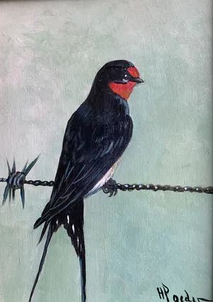 Henk Poeder - Vogel kopen? Bied vanaf 65!