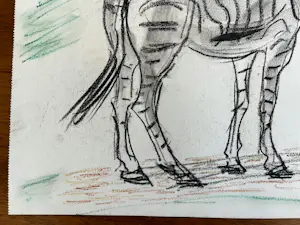 Cornelis Jan Mension - Tekening van een zebra, gemaakt in Artis kopen? Bied vanaf 80!