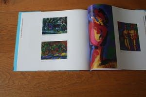 Piet Snoeren - Biesbosch kopen? Bied vanaf 100!