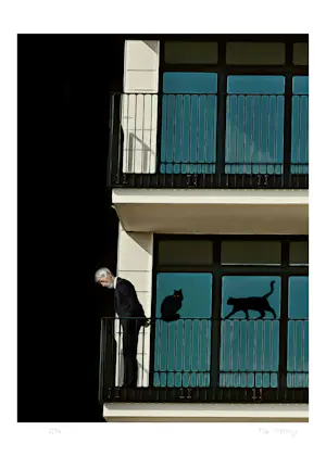 Mr Strange - Le Vieil Homme et ses Chats kopen? Bied vanaf 80!