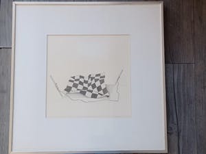 Ton Paauw - Het laatst onder. kopen? Bied vanaf 60!