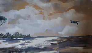 Jo Schrijnder - Vliegende eenden kopen? Bied vanaf 100!