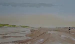 Franklin Meijer - Texel - Strand kopen? Bied vanaf 59!