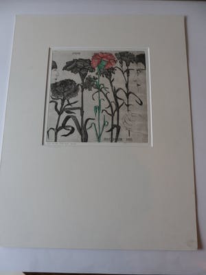 Arja van den Berg - Ingekleurde ets, Anjer kopen? Bied vanaf 20!