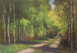 Jan Stapper - Olieverf op board, Bosweg kopen? Bied vanaf 50!