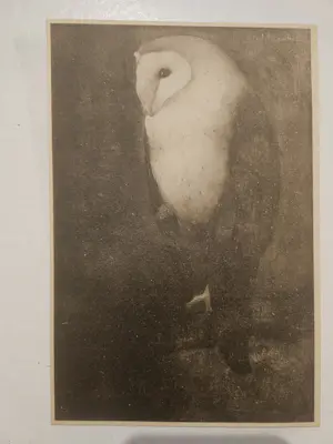 Jan Mankes - Een Uil op een tak kaufen? Bieten Sie von 40!