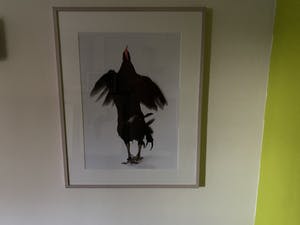 Koen Vanmechelen - Fighter 49/75 kopen? Bied vanaf 750!