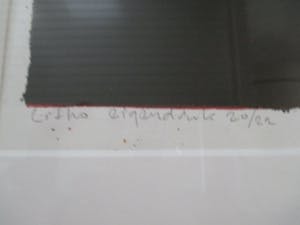 Joost Minnigh - Grote ingelijste litho "Amaryllis met spiegelbeeld" perfect ingelijst kopen? Bied vanaf 80!