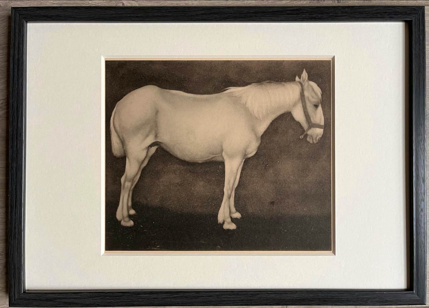 Jan Mankes - Originele Heliogravure Wit Paard 1923 kopen? Bied vanaf 165!