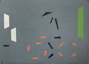 Jan Willem Versteeg - Bicycle kopen? Bied vanaf 1!