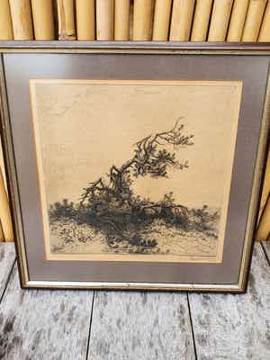 Jan Coenraad Nachenius - De Boom verkocht voor € 75!