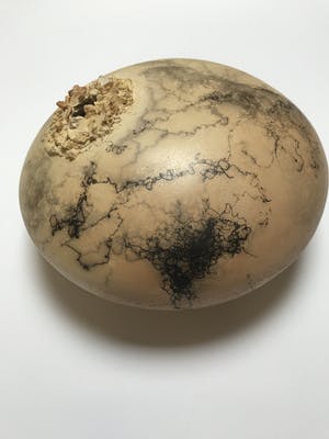 Helen Kolijn - Geen titel kopen? Bied vanaf 25!