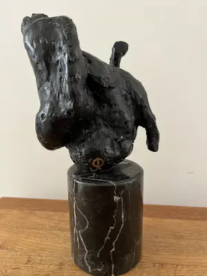 Jan Peter van Opheusden - RUITER kopen? Bied vanaf 250!