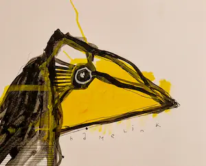 Bart Hamelink - Vogel kopen? Bied vanaf 1!