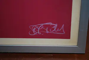 Bart Filet - Peace Bird - litho, epreuve exemplaar kopen? Bied vanaf 65!