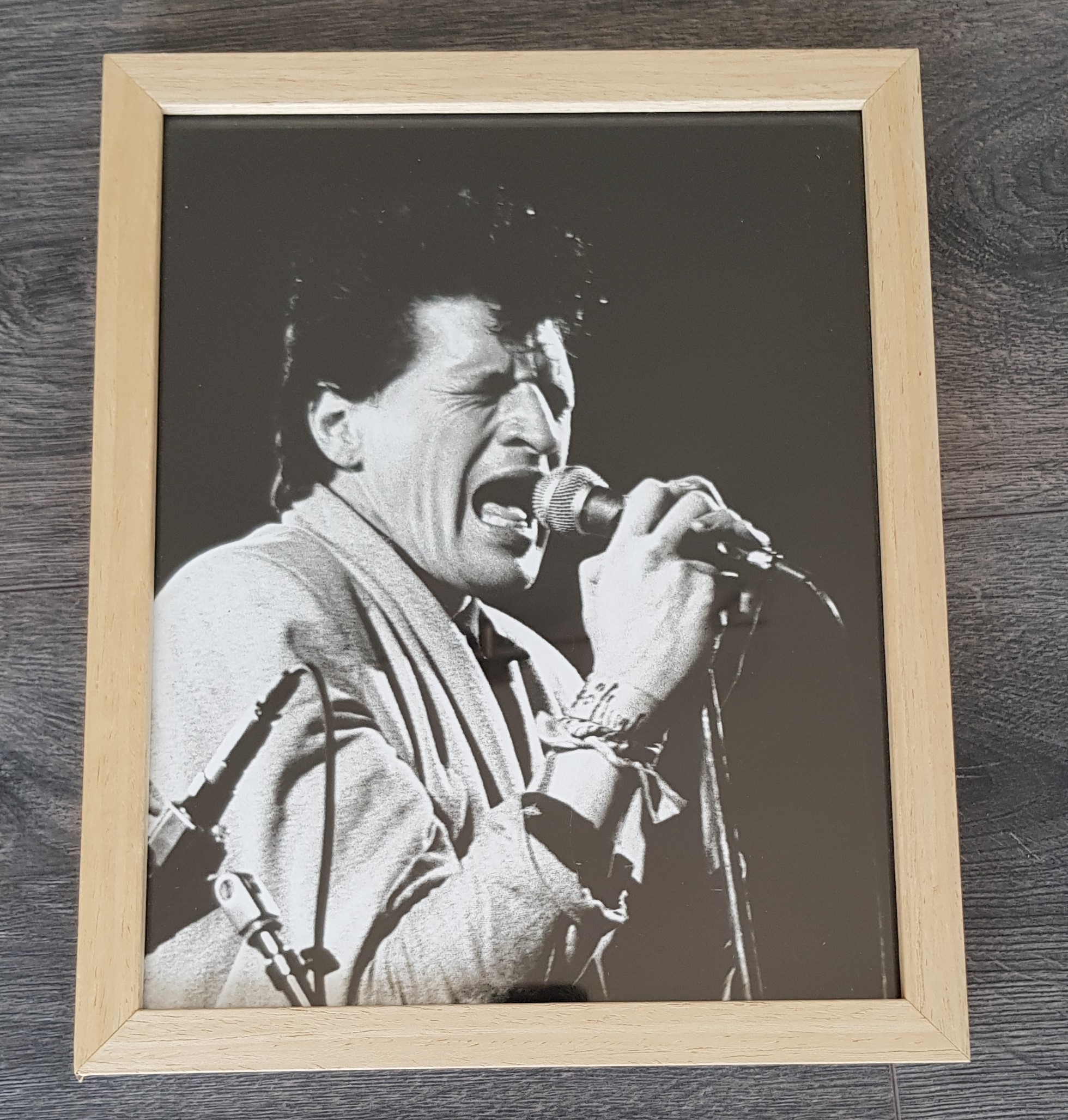 Herman Brood - prachtige grote foto  kopen? Bied vanaf 35!