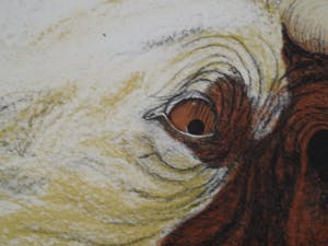 Carolein Smit - Carolien Smit kopen? Bied vanaf 100!