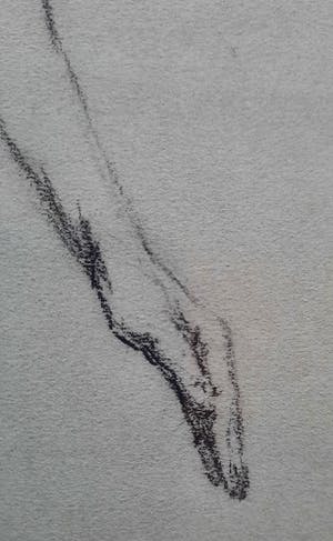 Willem Frederik Noordijk - Mannelijk naakt kopen? Bied vanaf 1!