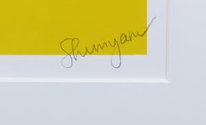 Shunyam - Zeefdruk, I can fly - Ingelijst kopen? Bied vanaf 35!