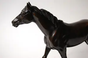 Irénée Rochard - Paard in draf kopen? Bied vanaf 2000!